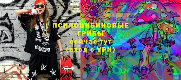 ешки Алексин