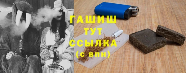 МДПВ Алзамай