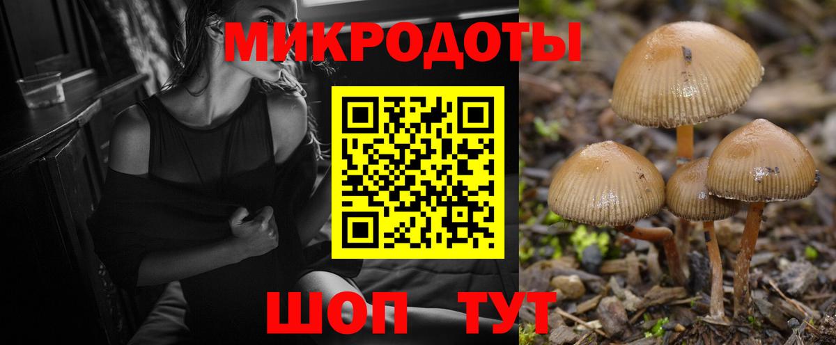 Галлюциногенные грибы Psilocybine cubensis Усинск